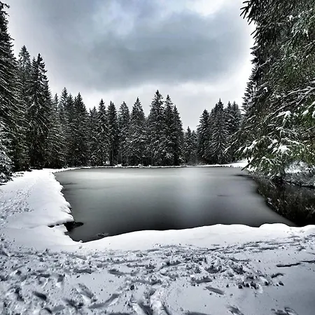 Casa de Férias Luxurioeses Mit Sauna, Whirlpool Und Fitnessraum Im Nationalpark Schwarzwald Forbach