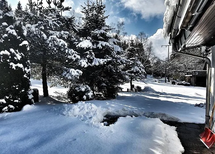 Holiday home Luxurioeses Mit Sauna, Whirlpool Und Fitnessraum Im Nationalpark Schwarzwald *