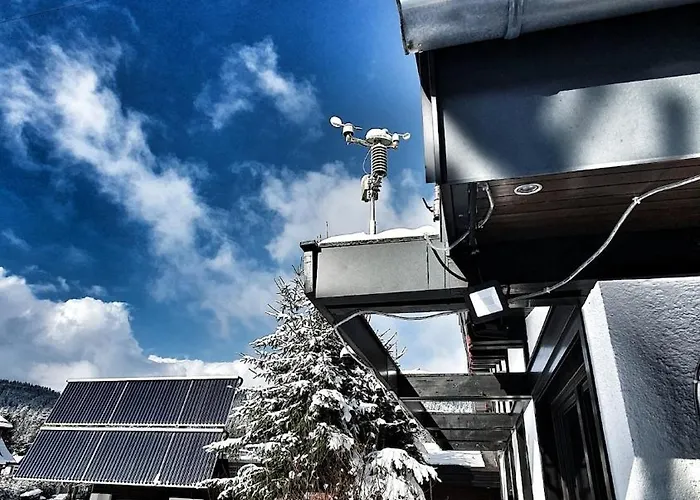 Luxurioeses Mit Sauna, Whirlpool Und Fitnessraum Im Nationalpark Schwarzwald *